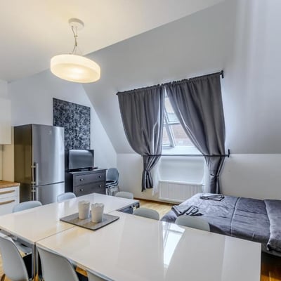 Central Apartments with fantastic view